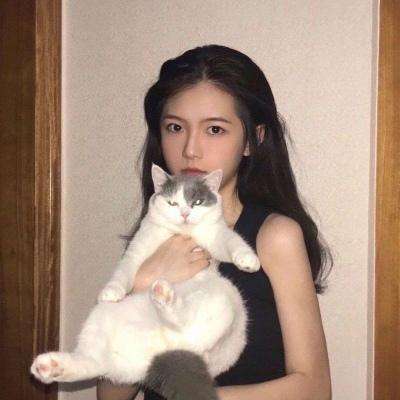 暴风战舰公益服下载